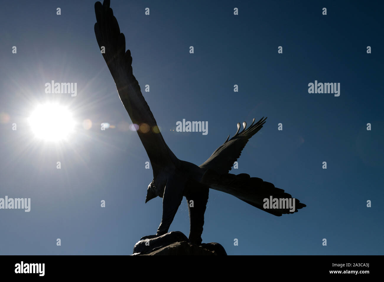 A statue of an eagle of the Wolf Blass trademark, situated at the Wolf Blass main winery visitor’s centre in the Barossa Valley wine region in South A Stock Photo