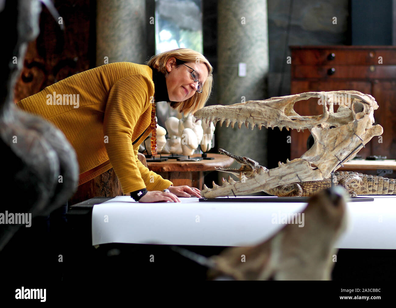 Silke Lohmann of Summers Place Auctions in Billingshurst, West Sussex