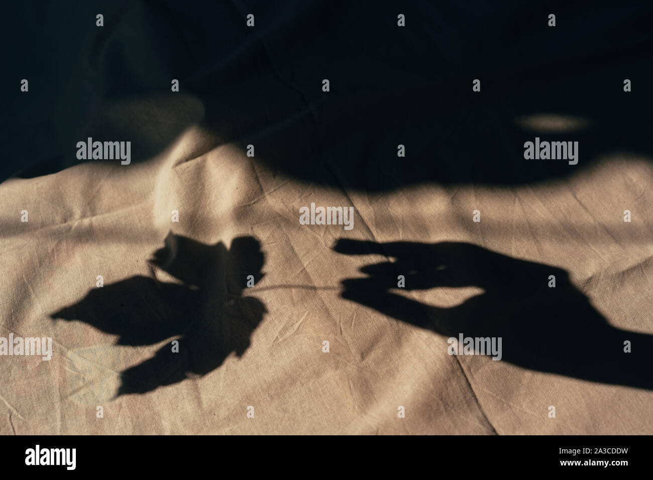 Hand shadow hi-res stock photography and images - Alamy