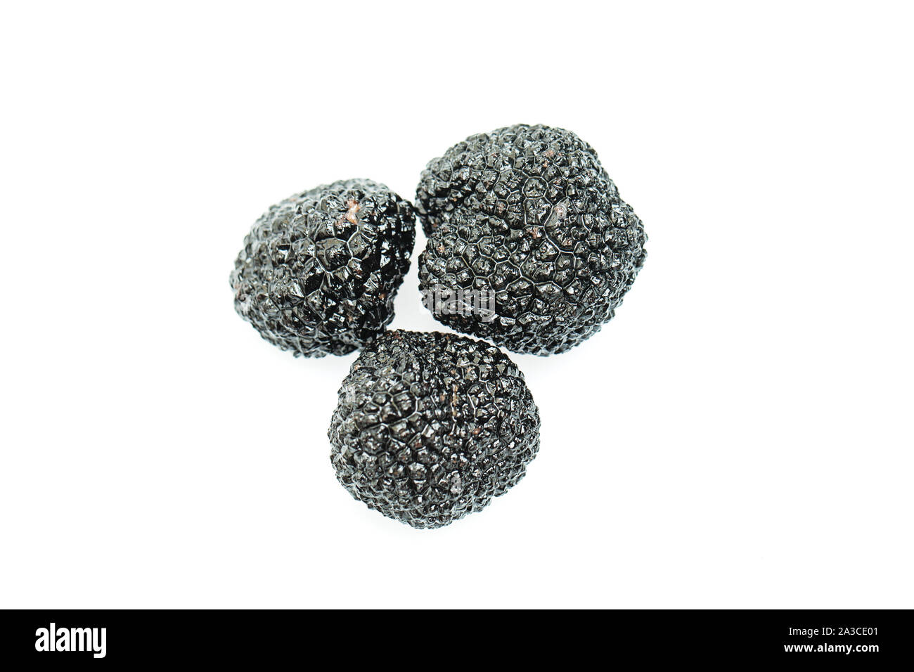 Truffle mushroom. Black gourmet truffle mushroom isolated on white