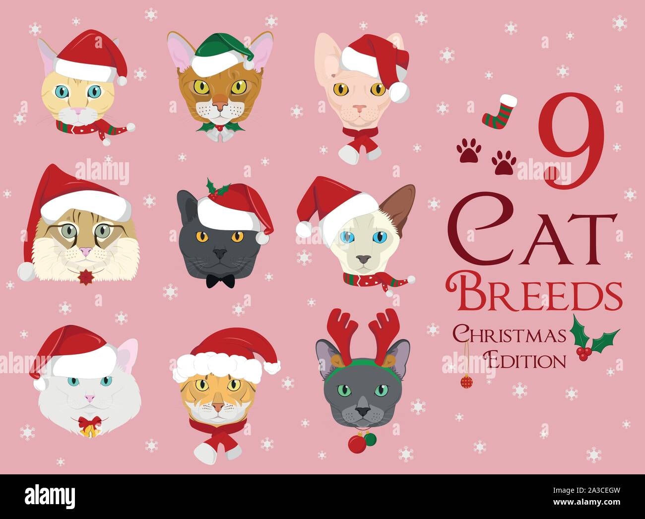 Set of 9 cat breeds with Christmas and winter themes Stock Vector