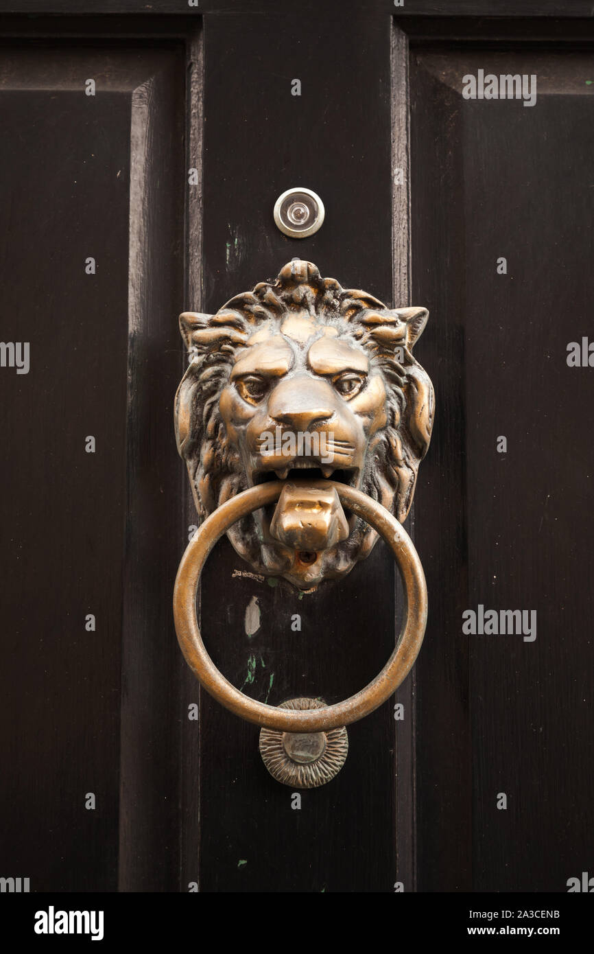 Old classic doorknob in shape of lion head with ring mounted on dark vintage wooden door, close-up photo Stock Photo