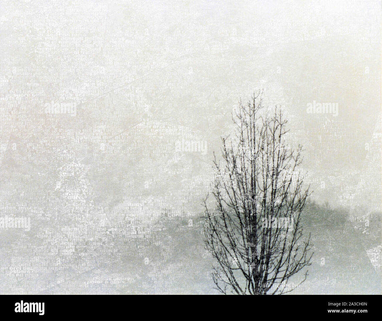 Featured image of post Black Tree Background For Editing - Quality wallpaper with a preview on: