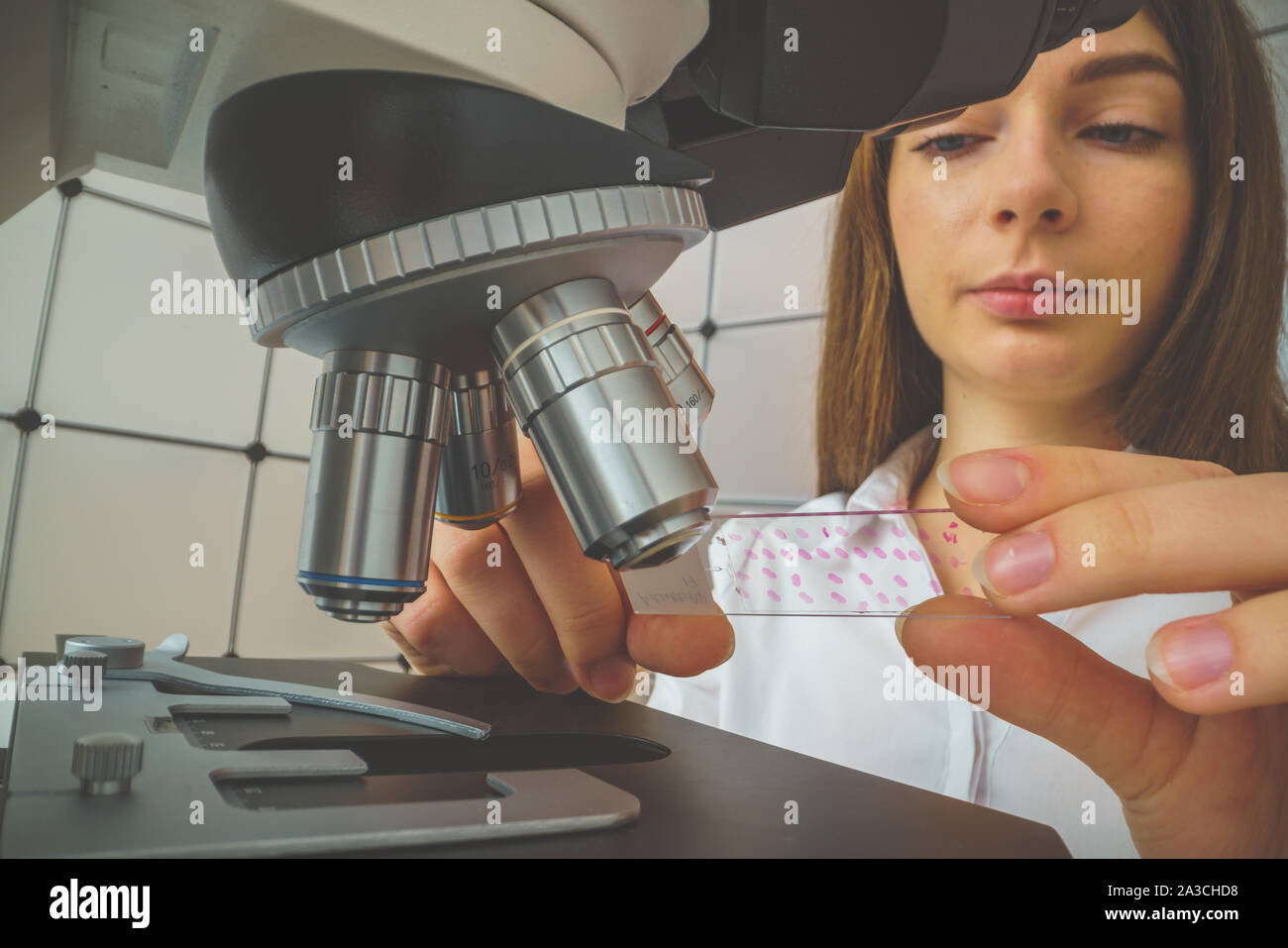 student girl looking in a microscope, science laboratory concept Stock ...