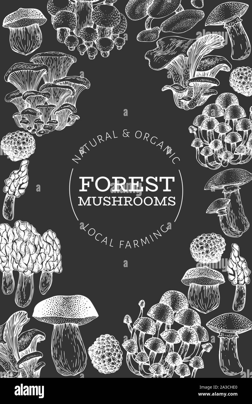 Mushroom design template. Hand drawn vector food illustration on chalk board. Engraved style. Retro mushrooms different kinds background. Stock Vector