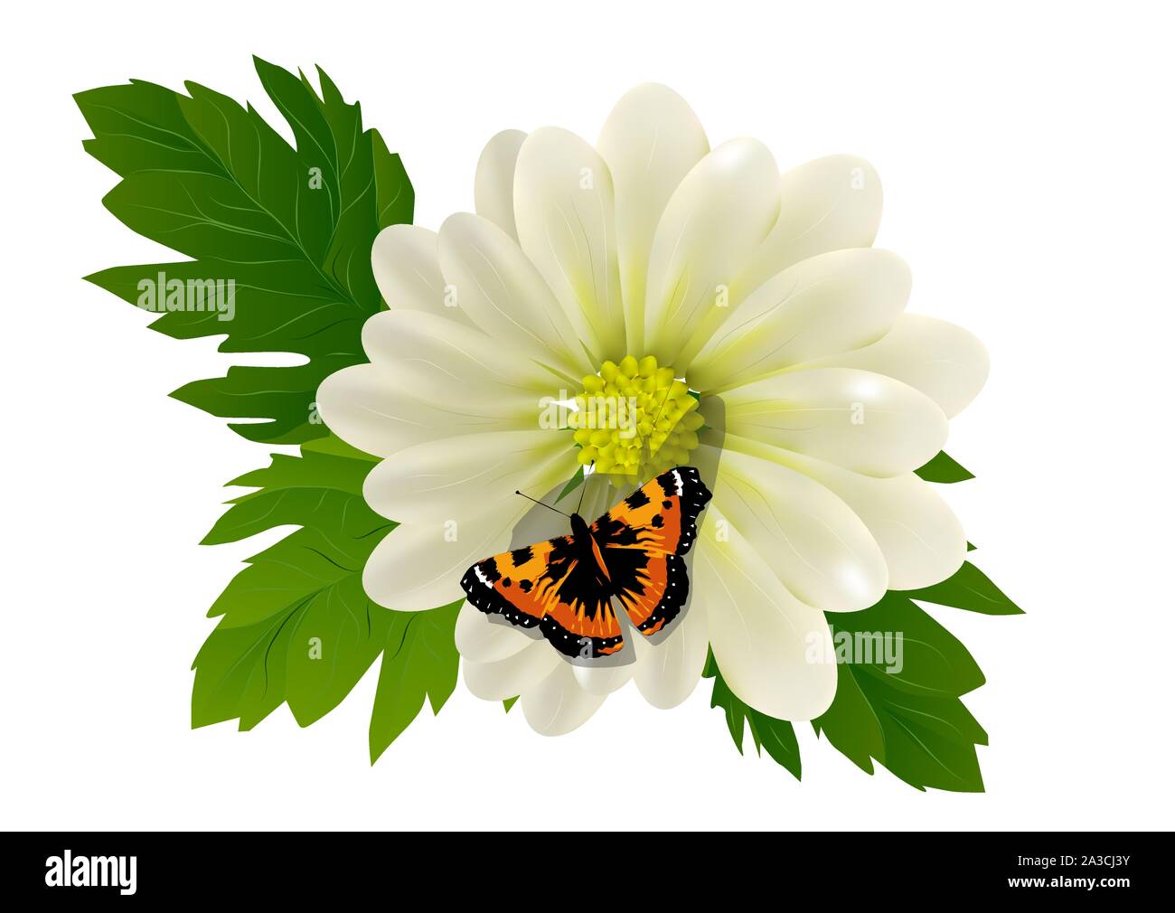 flower and butterfly isolated on white background Stock Vector Image ...