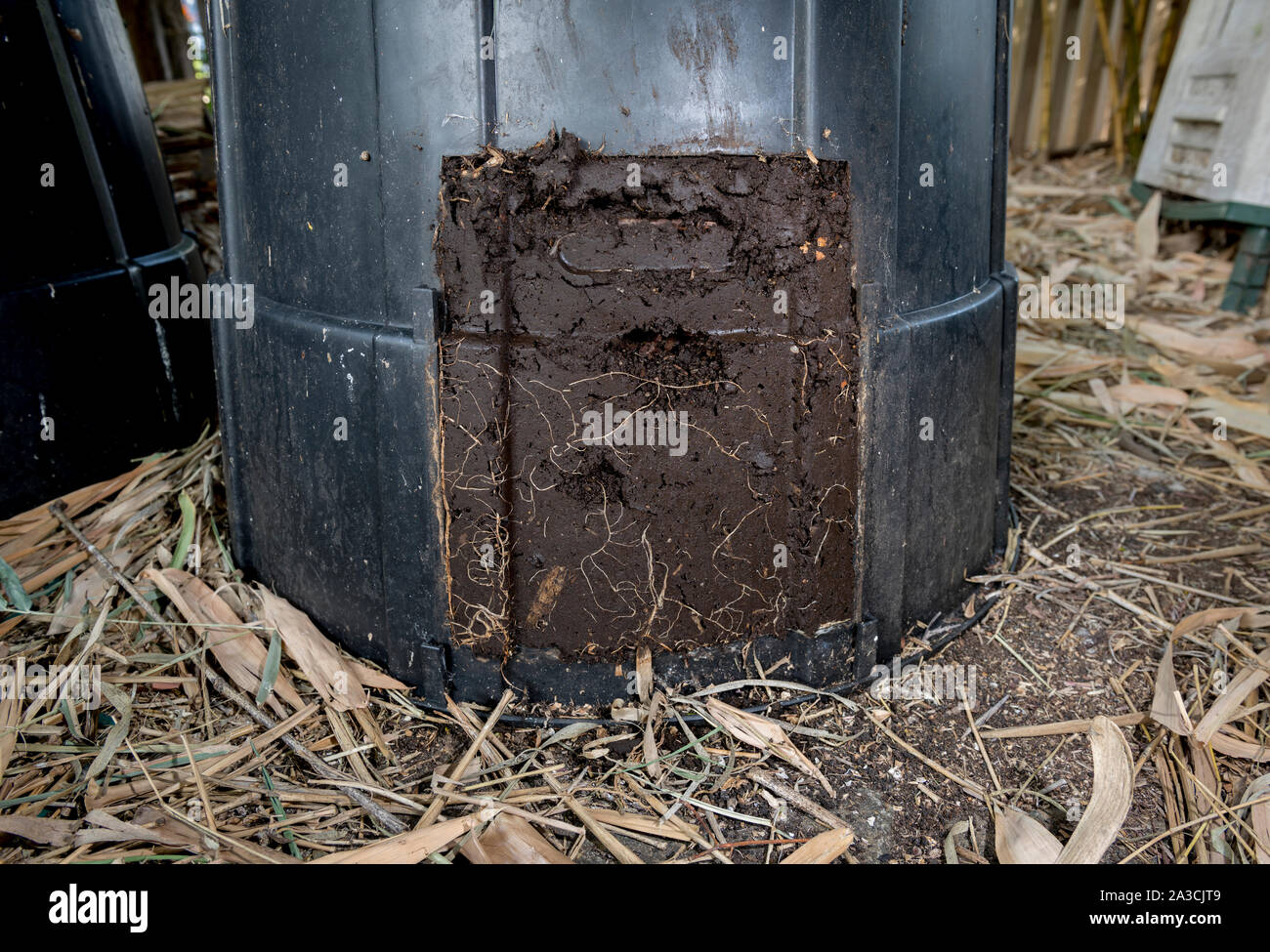bin bin with worms) open to show