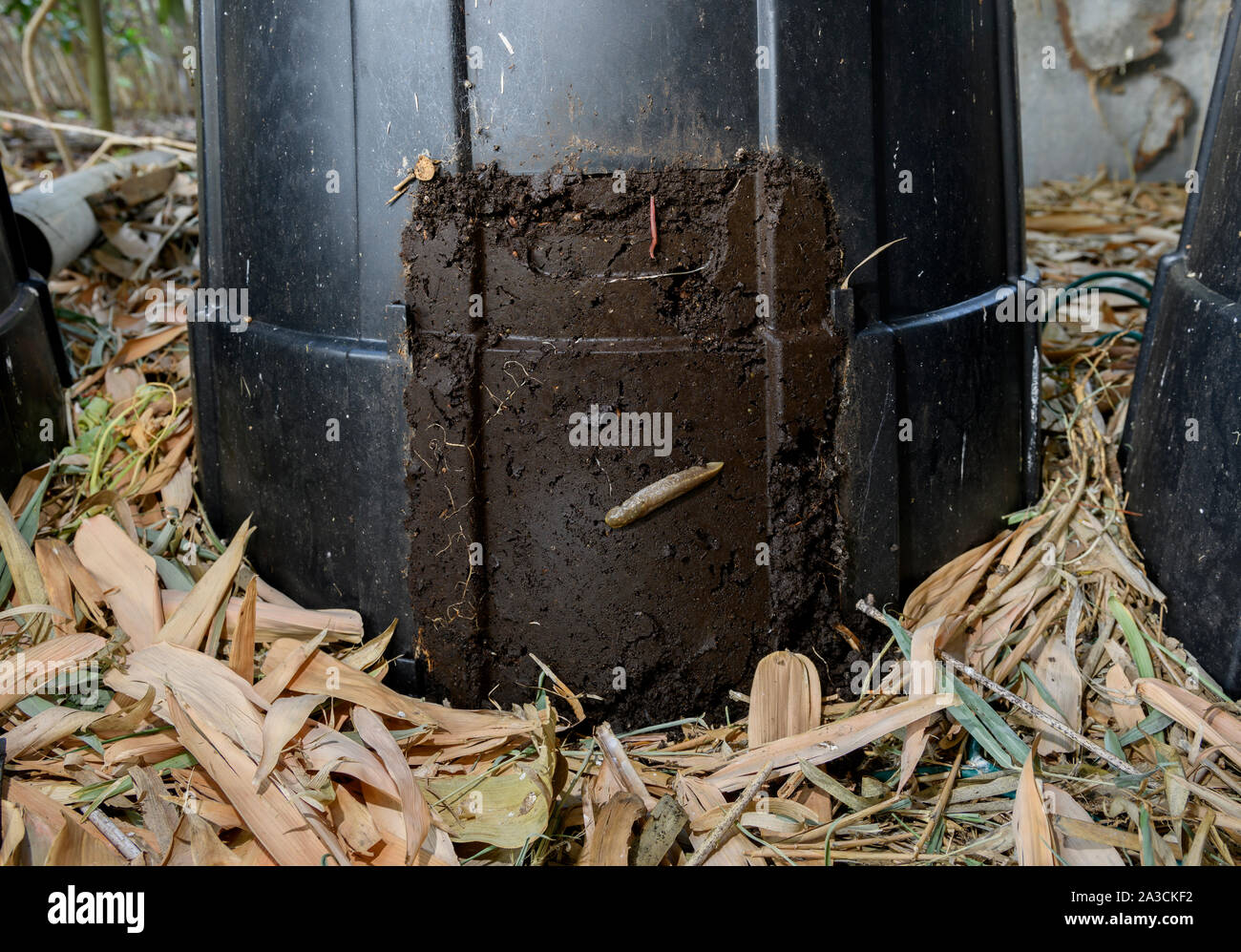 Vermiculture hires stock photography and images Alamy