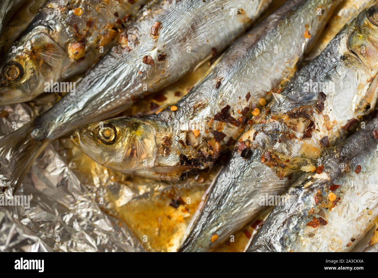 Cornish sardines, Sardina pilchardus, bought from a supermarket in the