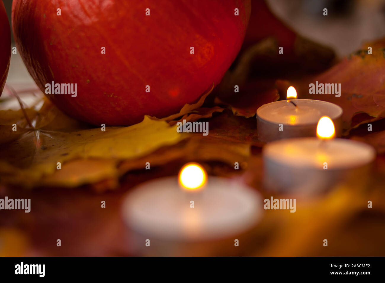 Composition with pumpkins and candles on maple leaves on wooden ...