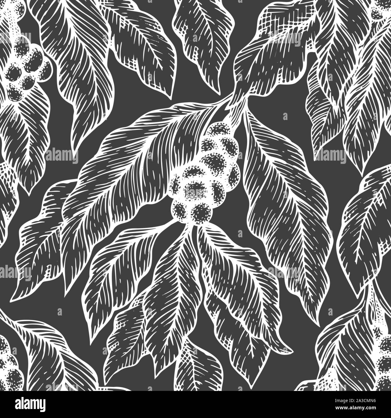 Coffee tree branch seamless vector pattern. Retro coffee background ...