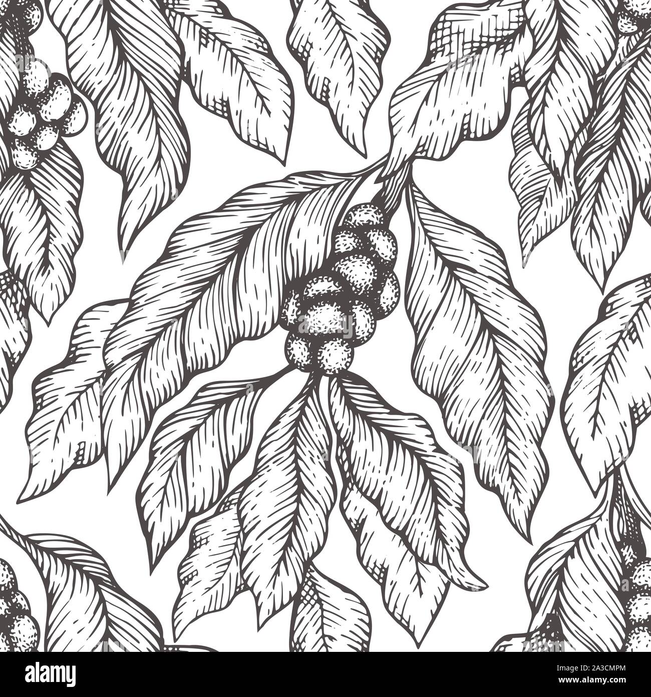 Coffee tree branch seamless vector pattern. Retro coffee background ...