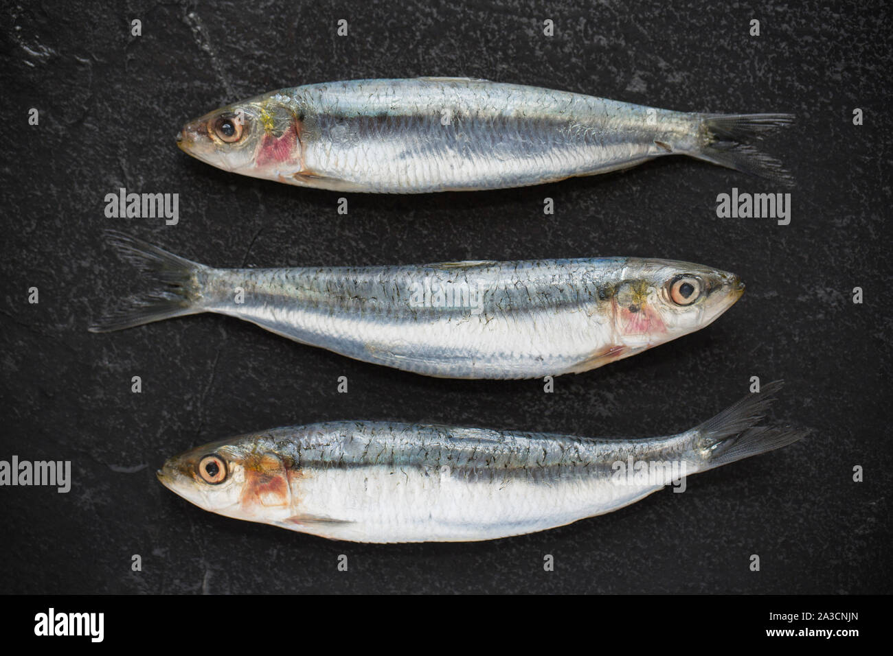 Three raw, uncooked Cornish sardines, Sardina pilchardus, bought from a supermarket in the UK. In the UK sardines above a certain size are known as pi Stock Photo