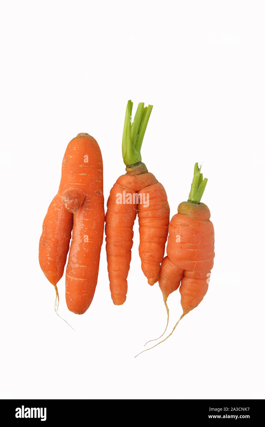 Deformed carrots isolated on white Stock Photo