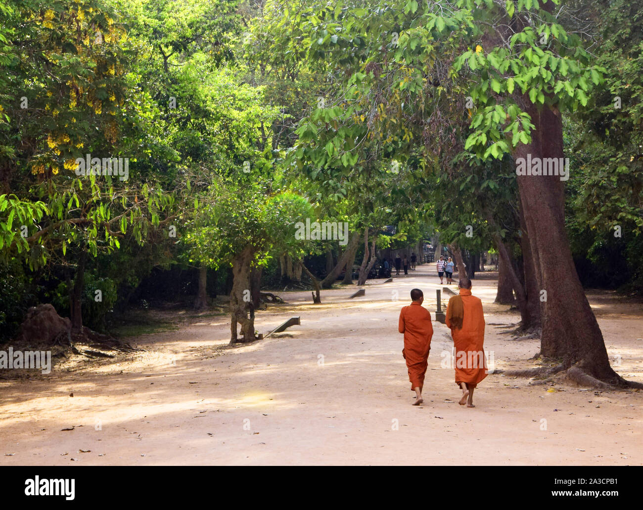 Cambodia, Vietnam, April 9, 2019 Young Cambodian monks on the streets