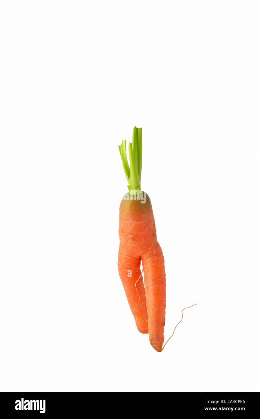 Funny shaped carrot isolated on white background Stock Photo