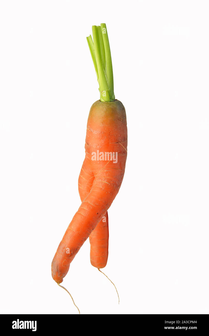 Funny shaped carrot isolated on white background Stock Photo