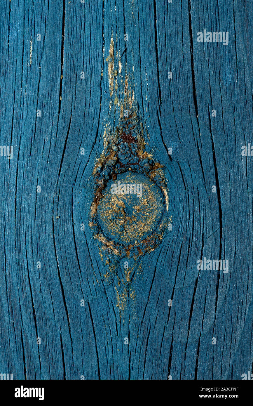 Timber knot hires stock photography and images Alamy