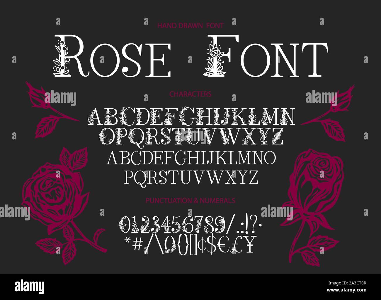 Hand drawn calligraphic vector serif font. Distress ornate floral