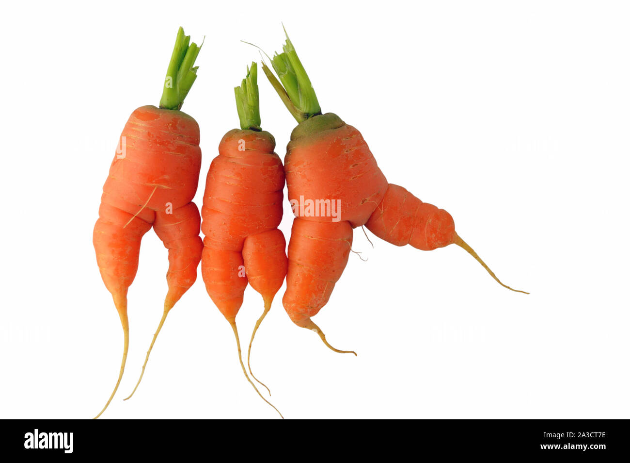 Deformed carrots isolated on white Stock Photo Alamy