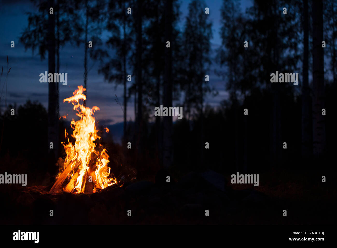 Burning campfire on a dark night in a forest Stock Photo - Alamy
