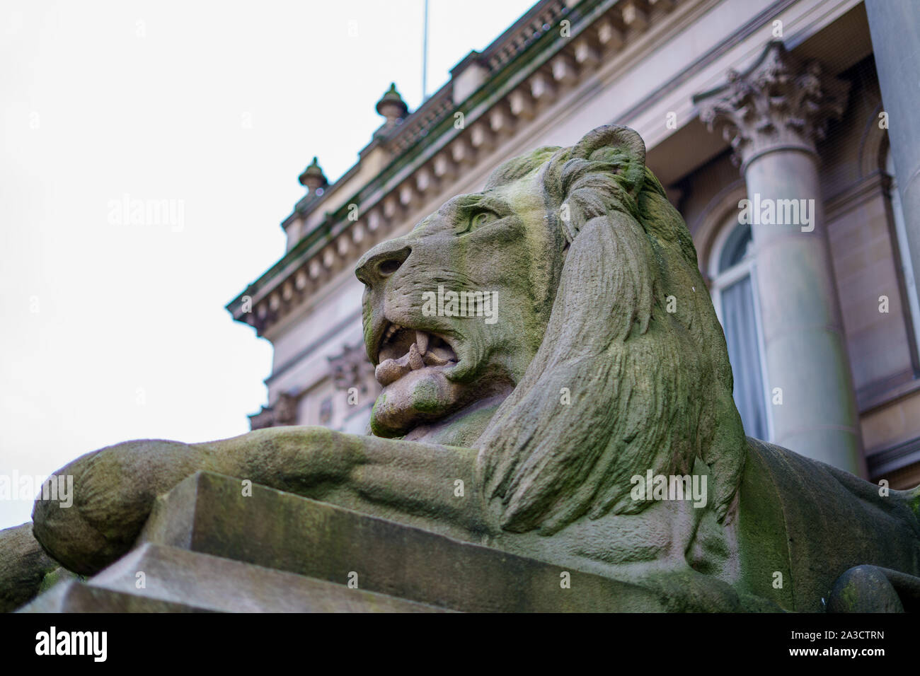 Bolton Town hall clock and lions Stock Photo Alamy