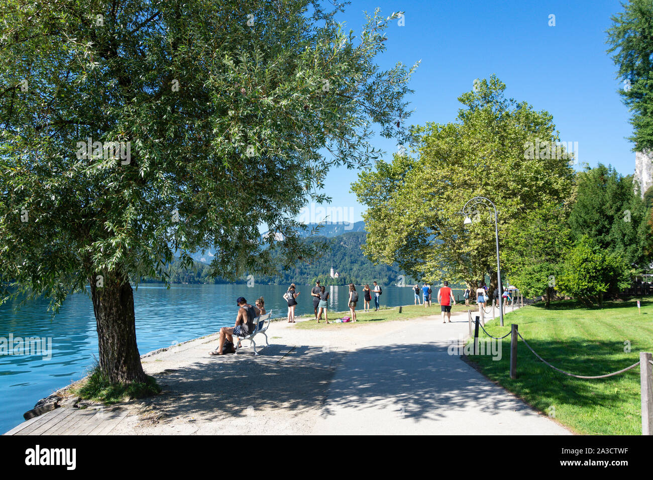 View from foreshore promenade, Lake Bled, Bled, Upper Carniola Region, Slovenia Stock Photo