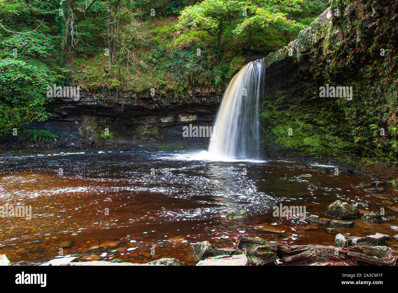 The Lady Falls (Sgwd Gwladus) Pontneddfechan Vale of Neath Powys, Wales Stock Photo