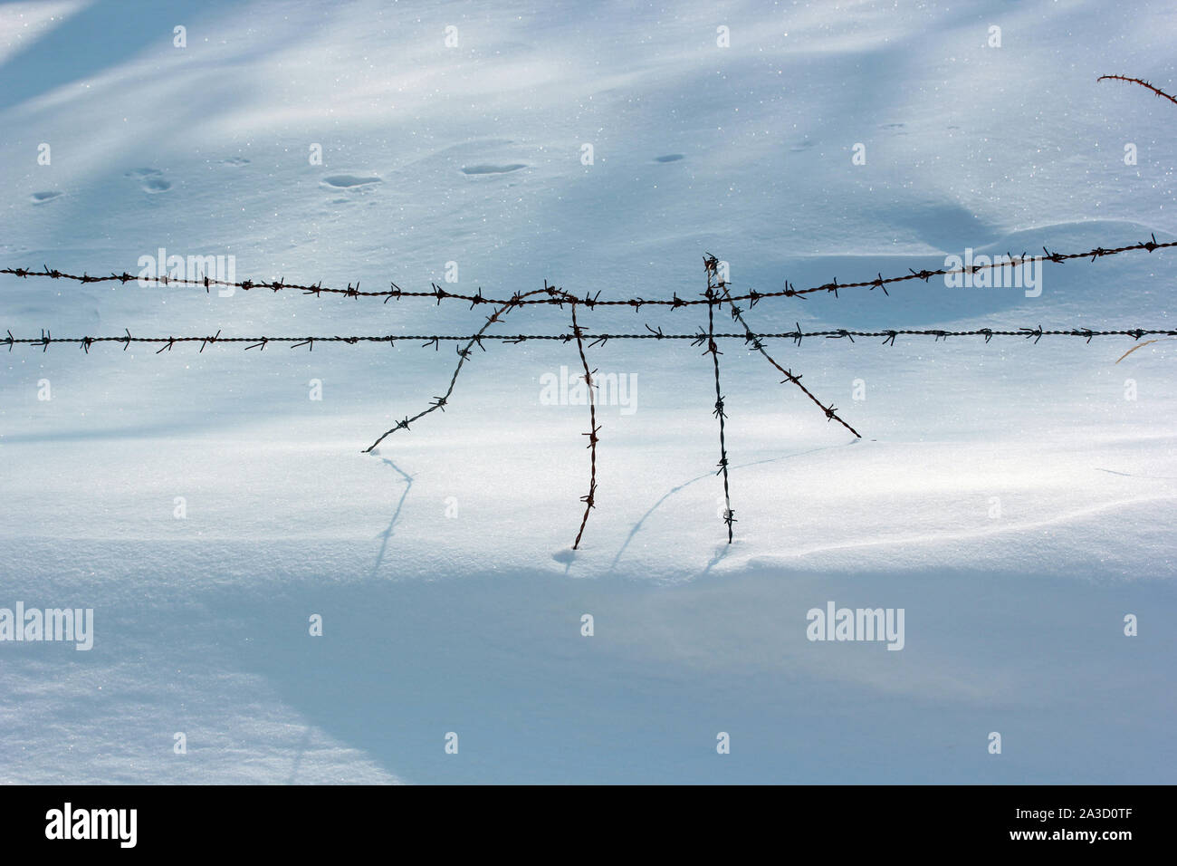 snow and barbed wire mesh Stock Photo