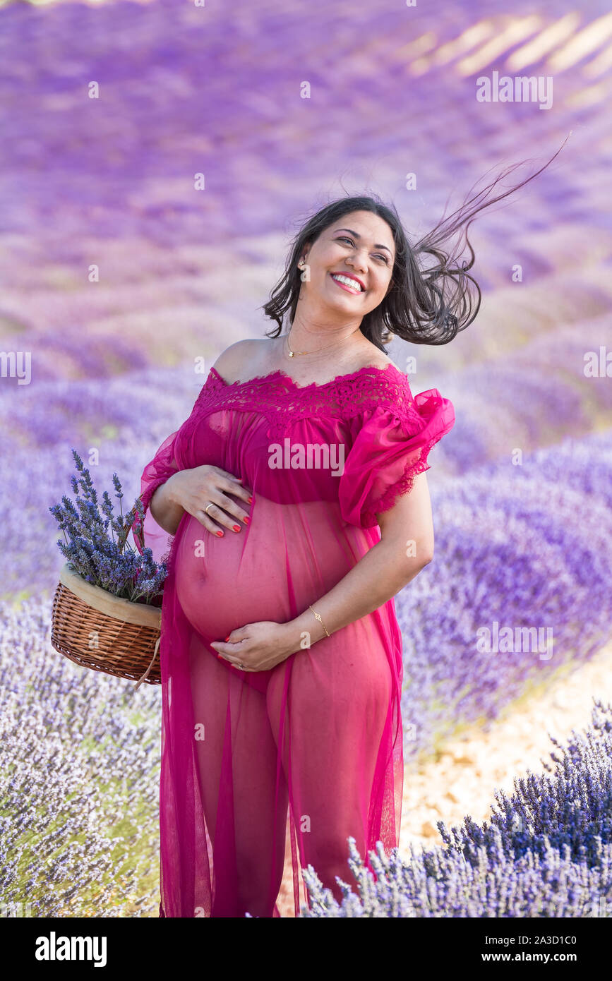 Pregnant woman in the lavender fields Stock Photo Alamy