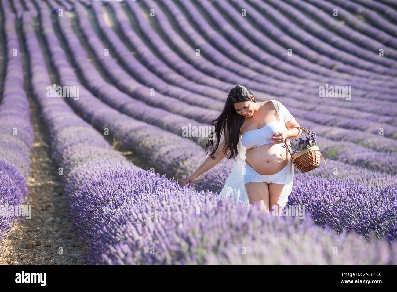 Pregnant woman in the lavender fields Stock Photo Alamy