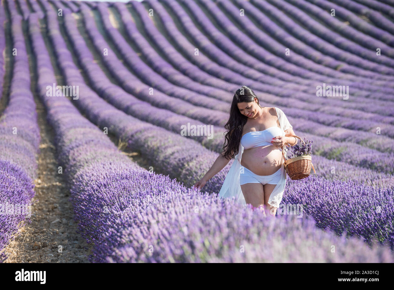Pregnant woman in the lavender fields Stock Photo Alamy