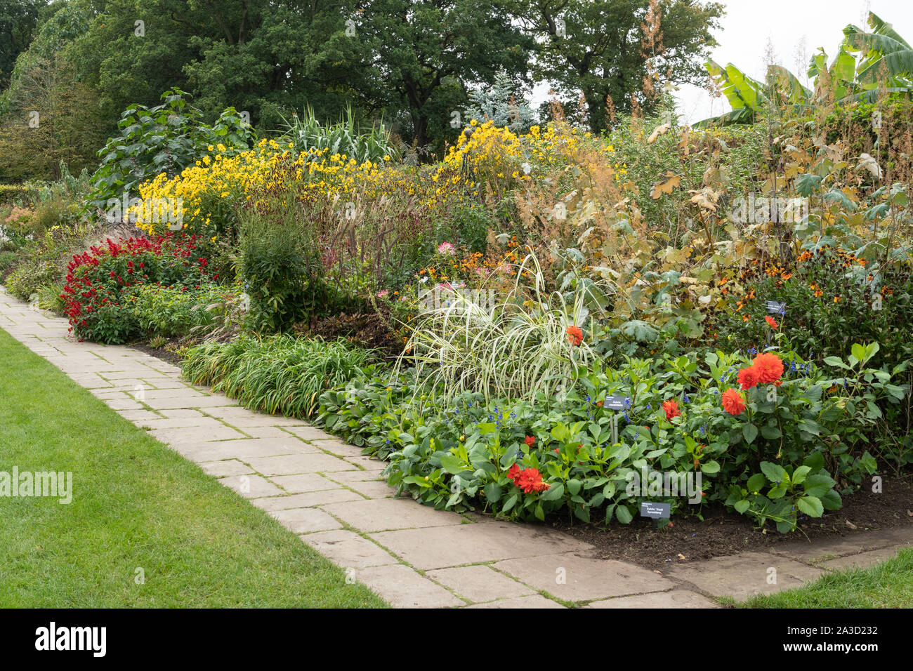 Colourful flower border at RHS Garden Wisley in early autumn Stock Photo
