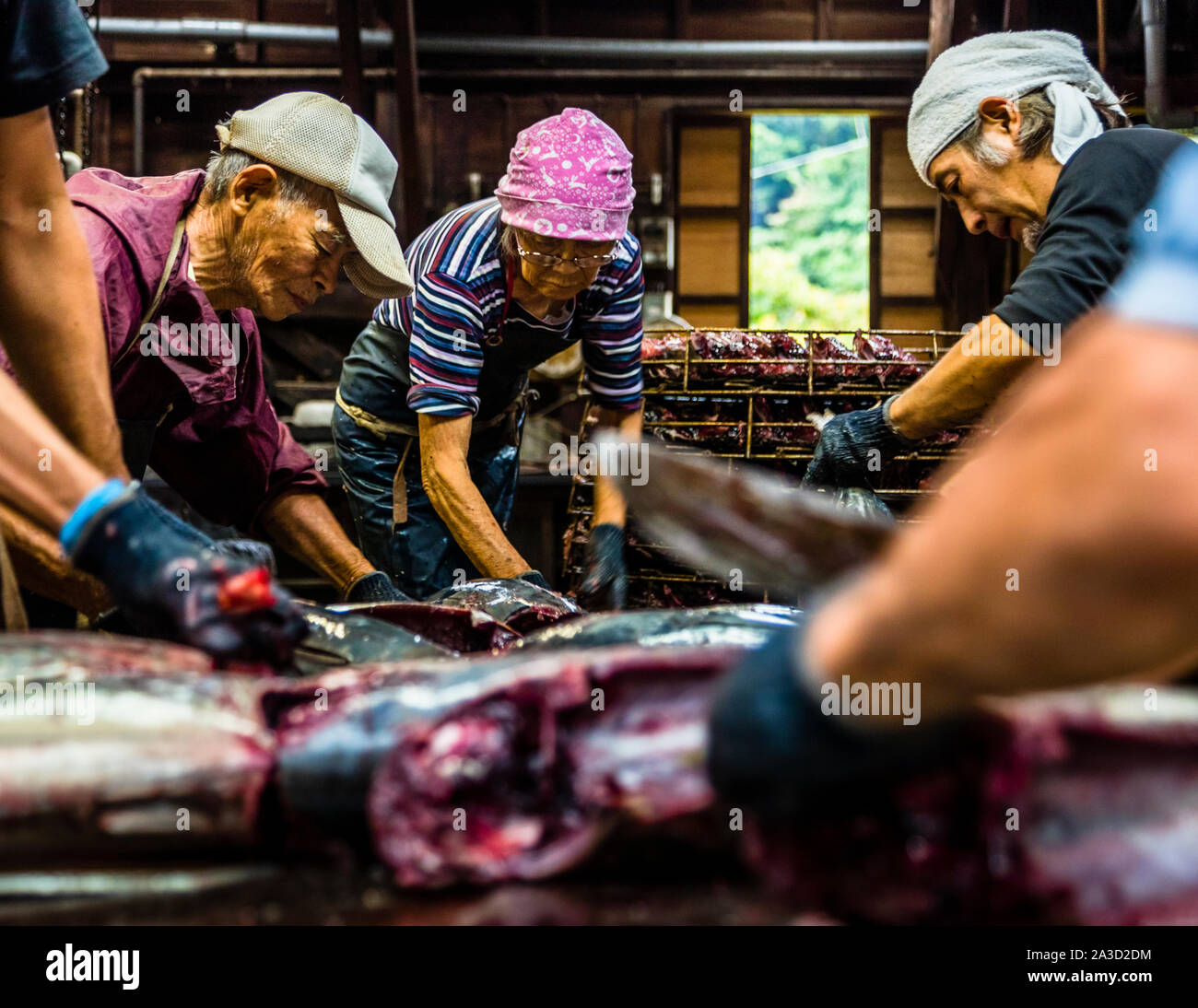Yasuhisa Serizawa's Katsuobushi Manufacture in Nishiizu-Cho, Shizuoka, Japan Stock Photo