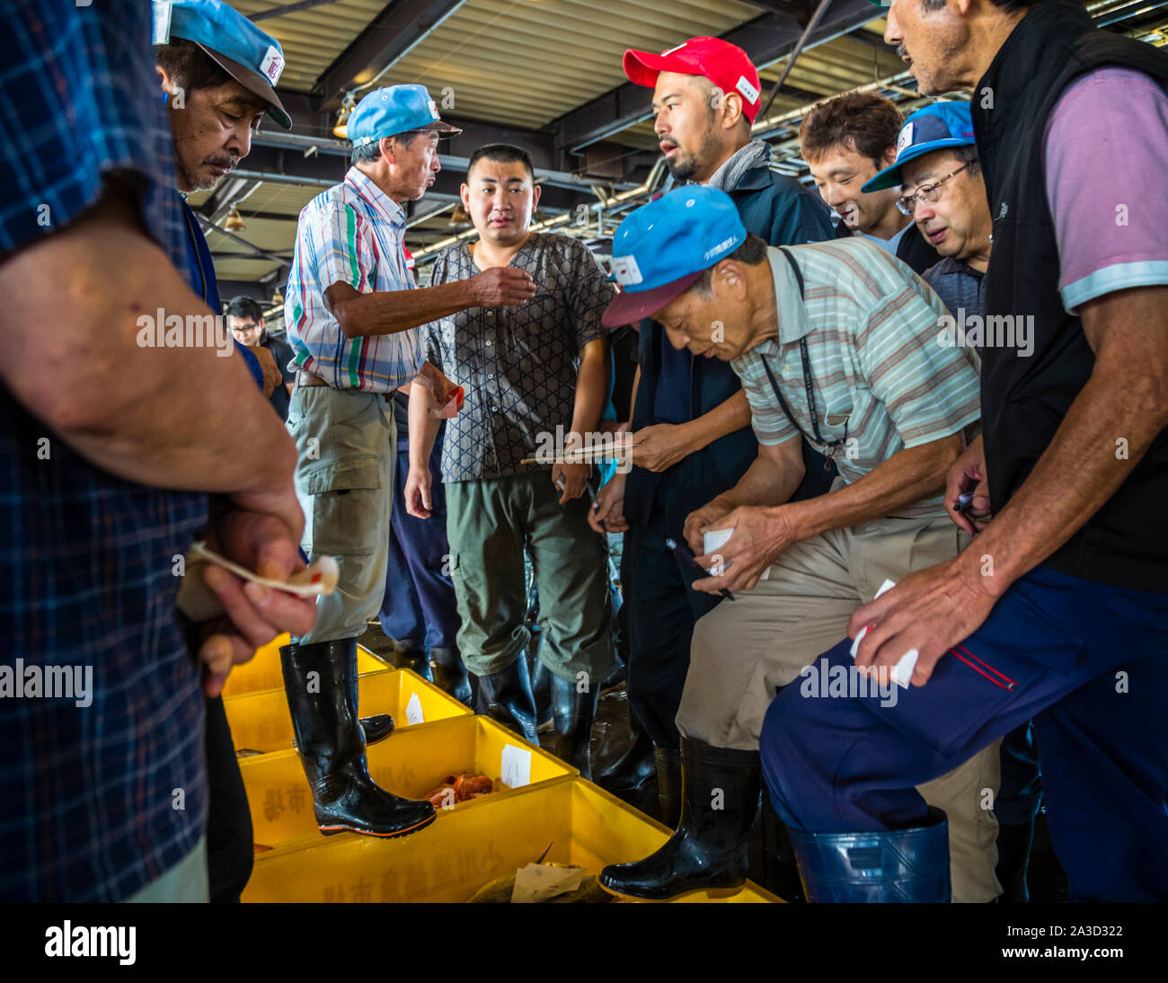 Fish auction with celebrity chef Naoki Maeda in Yaidu, Japan Stock Photo