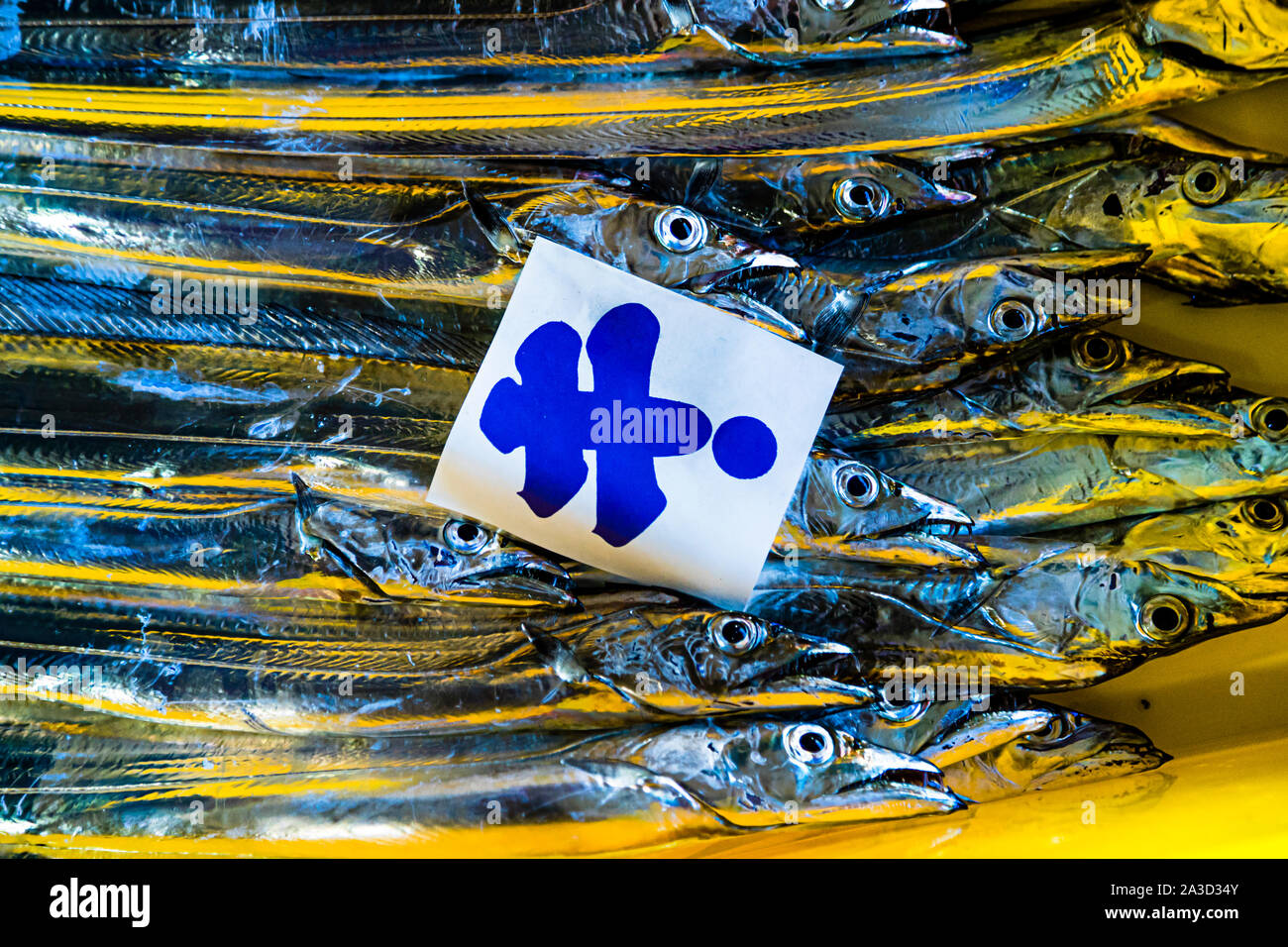 Fish auction with Japanese sign of the buyer in Yaidu, Japan Stock Photo
