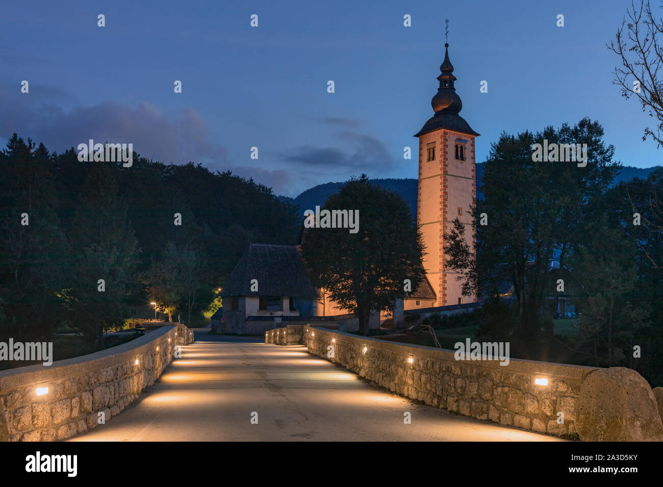 Lake Bohinj, Gorenjska, Slovenia, Europe Stock Photo