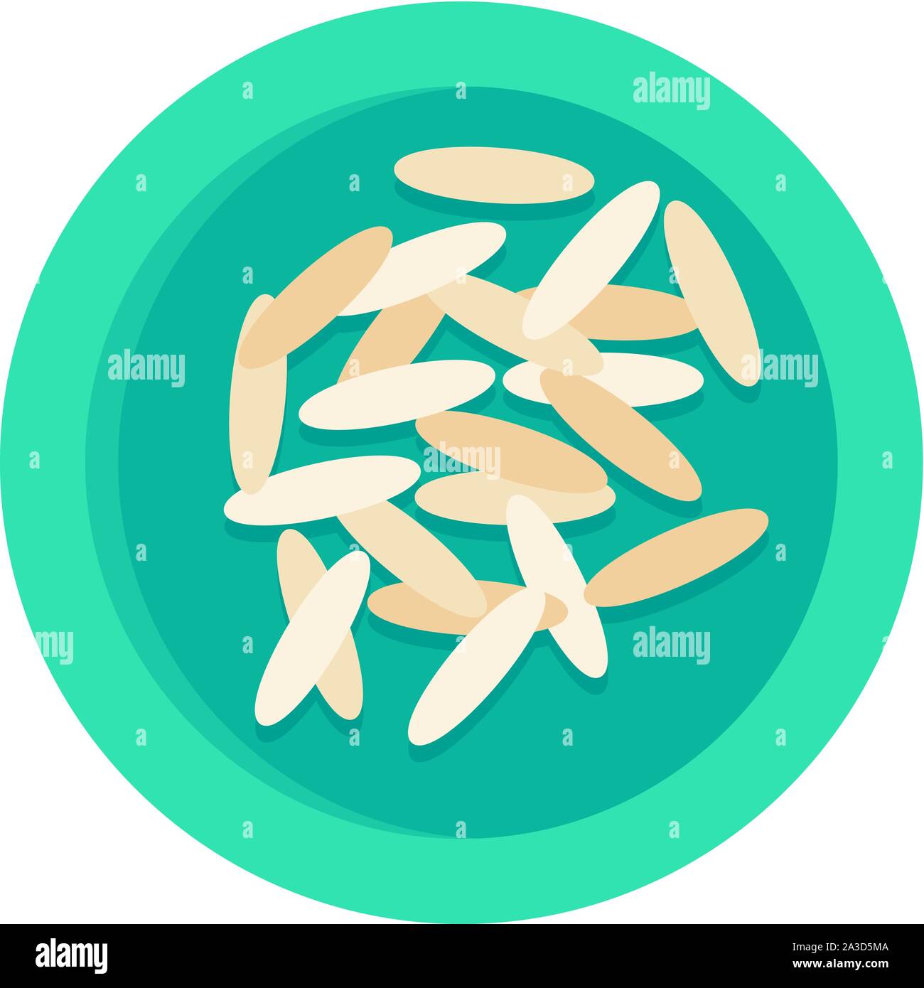 Indian rice grain Stock Vector Images - Alamy