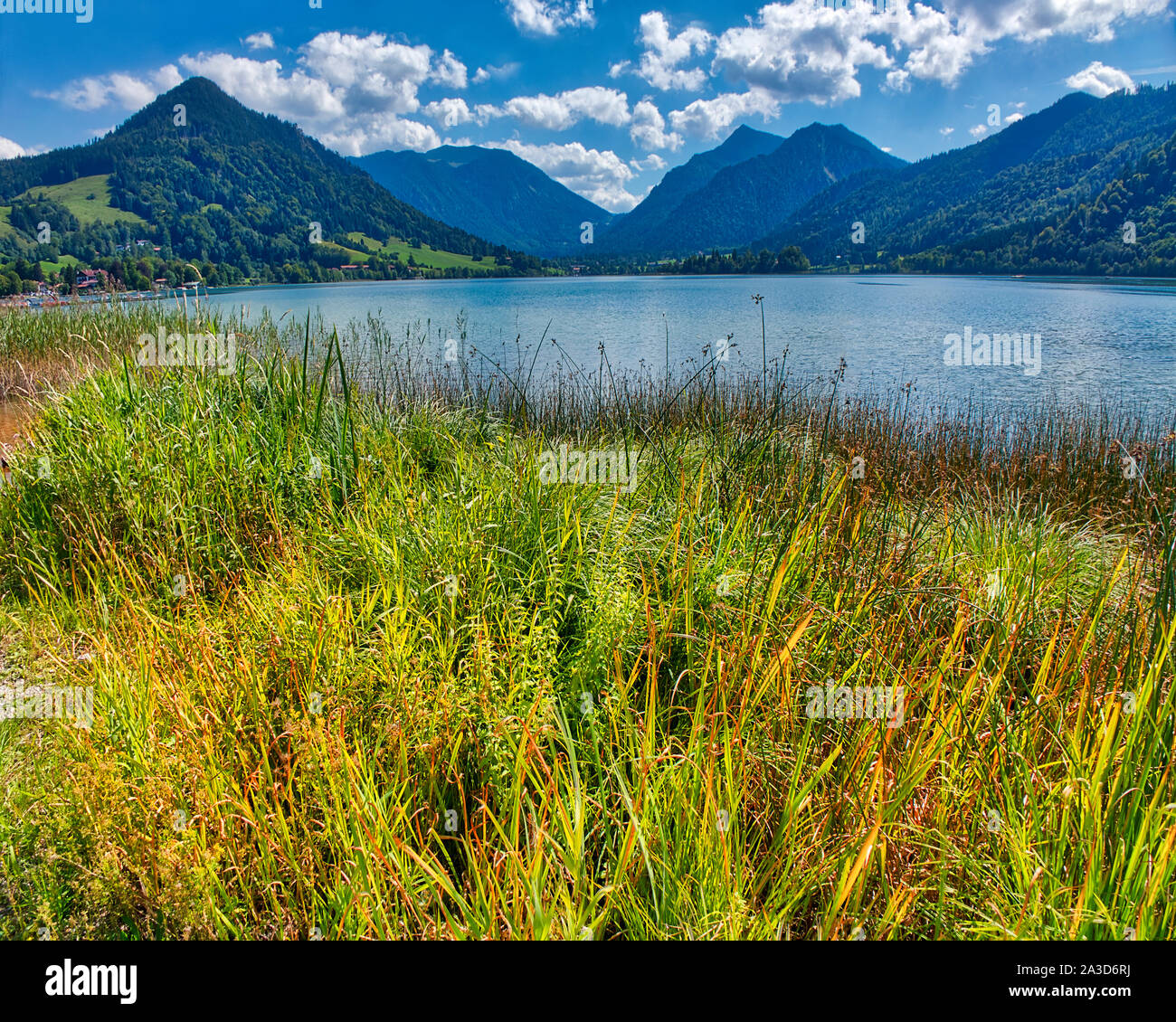 DE BAVARIA Lake Schliersee near Miesbach Stock Photo Alamy