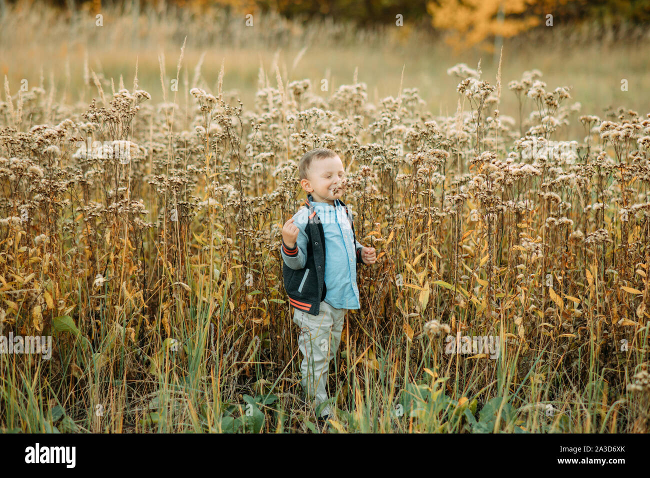 Child boy walks in a meadow among flowers and grass Stock Photo - Alamy
