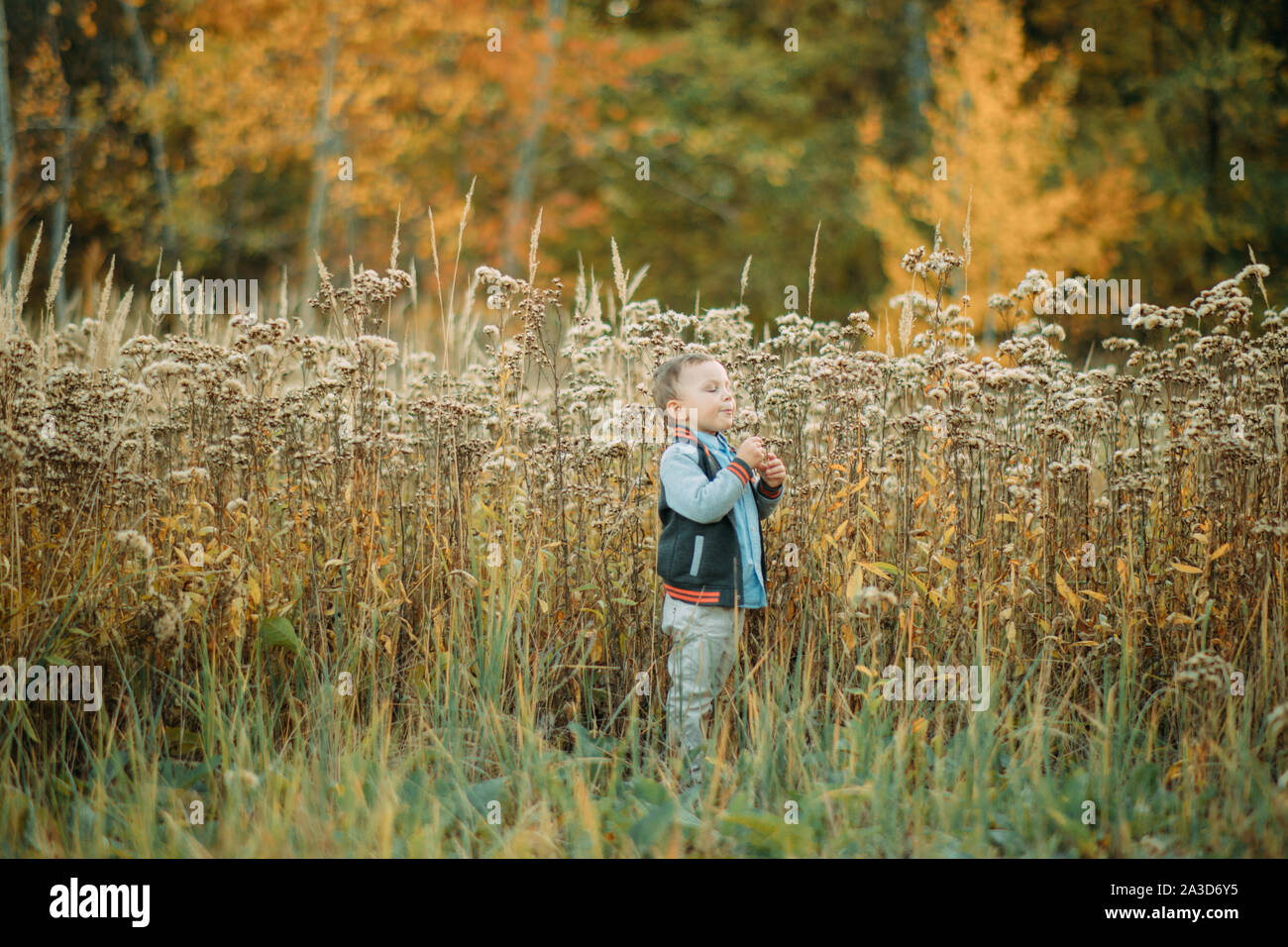 Child boy walks in a glade among flowers and grass in the autumn forest ...