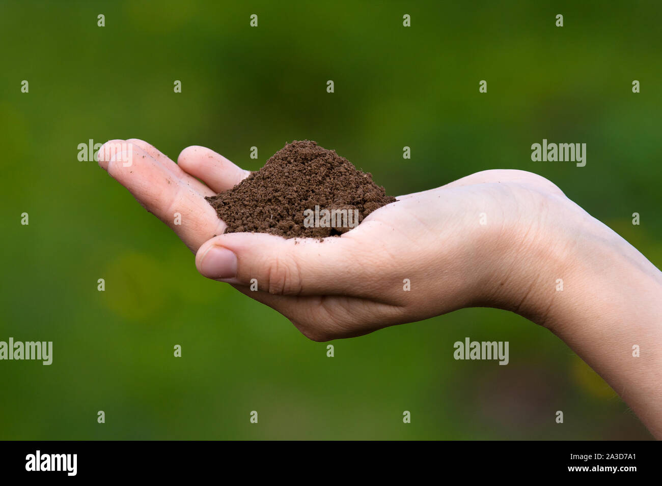 fertile soil in hands of women on blurred background Stock Photo