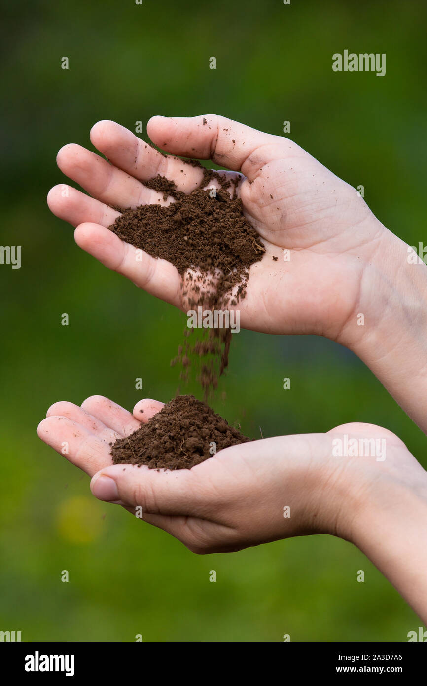 fertile soil in hands of woman on blurred background Stock Photo