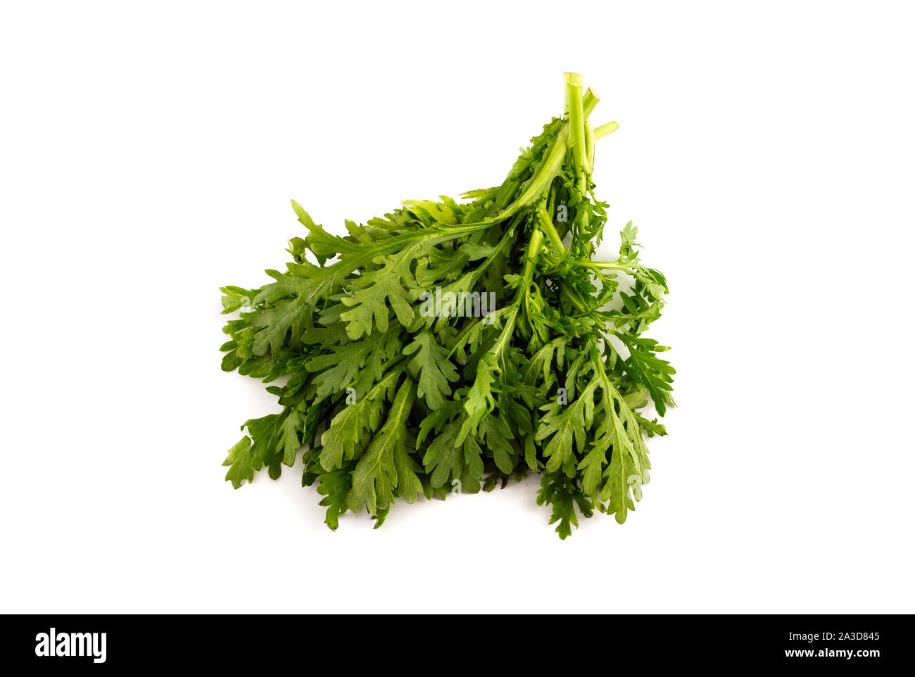 a batch of tung ho, Chrysanthemum greens, on white background Stock Photo