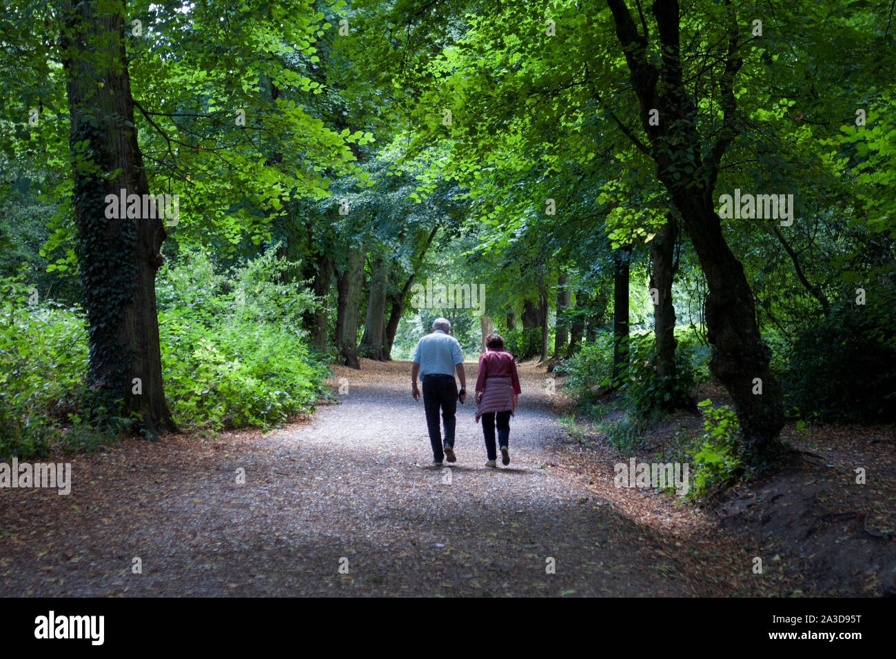 A couple walk through the woods together, during late summer Stock ...