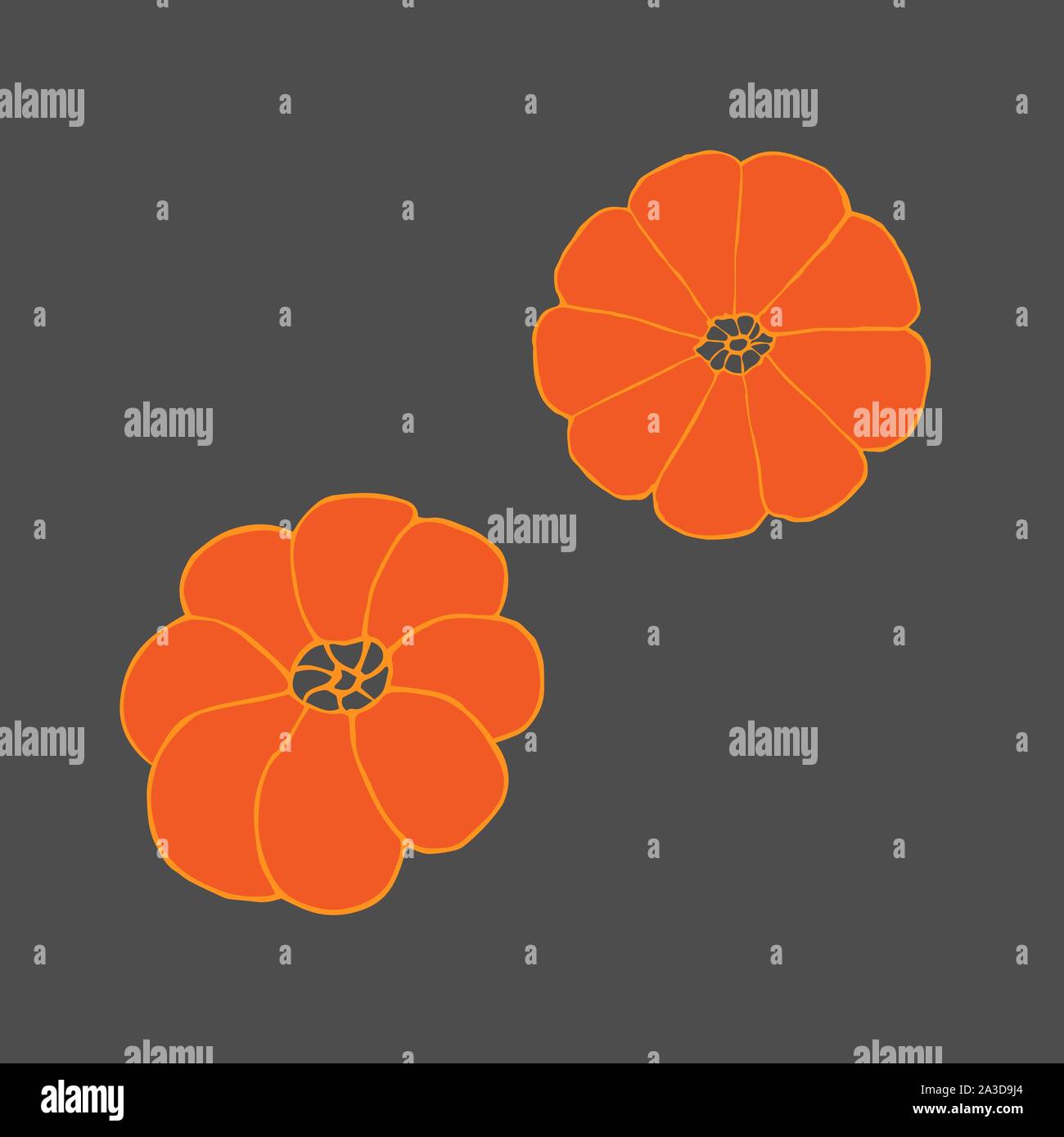 Two pumpkins. Hand drawing sketch. Orange outline on grey background. Picture can be used in advertisement, posters, flyers, banners, logo, further design etc. Vector illustration. EPS10 Stock Vector