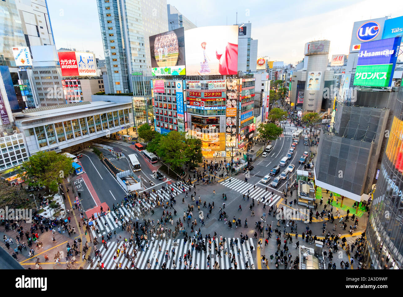 Tokyo. Aerial view of the Shibuya famous landmark, the