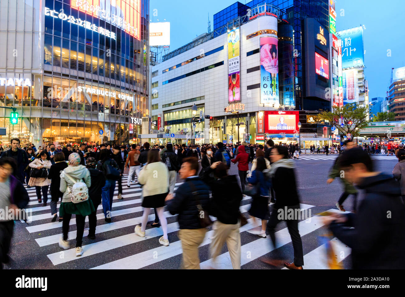 Tokyo. Shibuya. The famous landmark busy scramble crossing, with people crossing the street, motion blur. Evening blue hour, buildings illuminated. Stock Photo