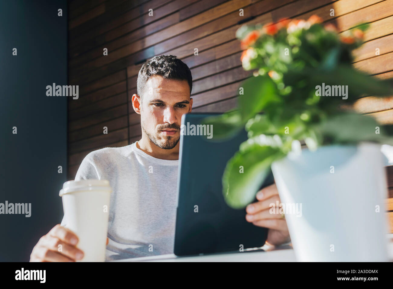 Stylish young man sitting on couch in a cafe using tablet Stock Photo