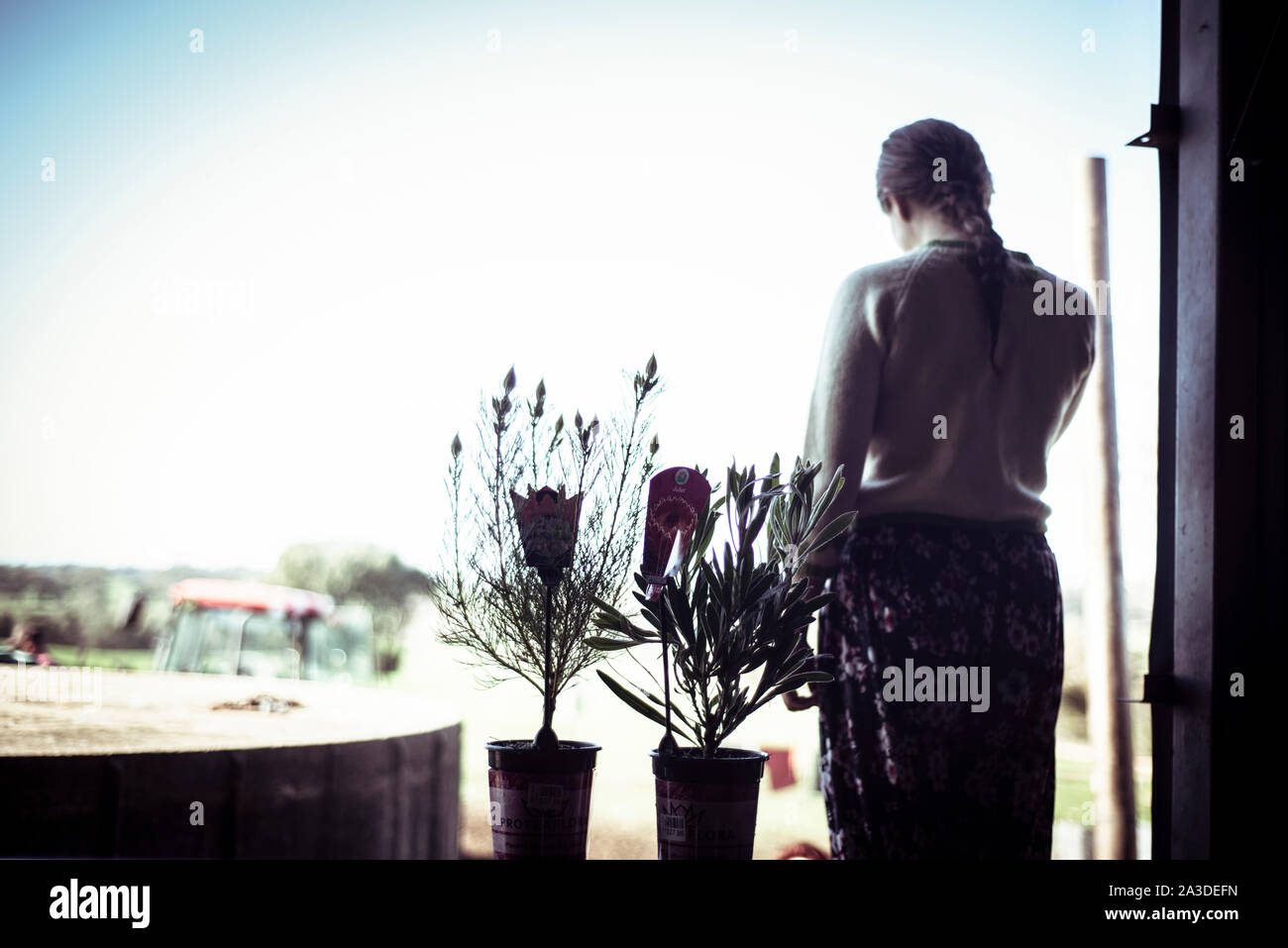 Young woman stands in window silhouette with flowers looking at farm Stock Photo